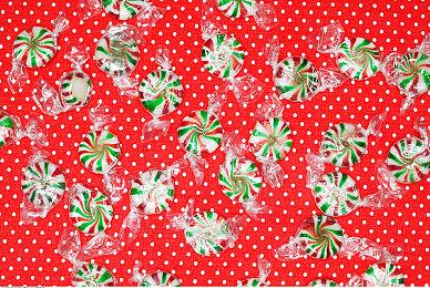 《哥特王朝：重制版》Steam发售日更新 2026年第一季度上线