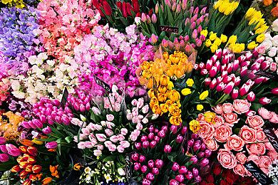 订购PSVR2的美国用户已开始收到发货通知